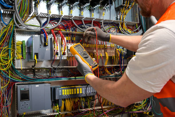 Best Electric Panel Repair  in La Joya, TX