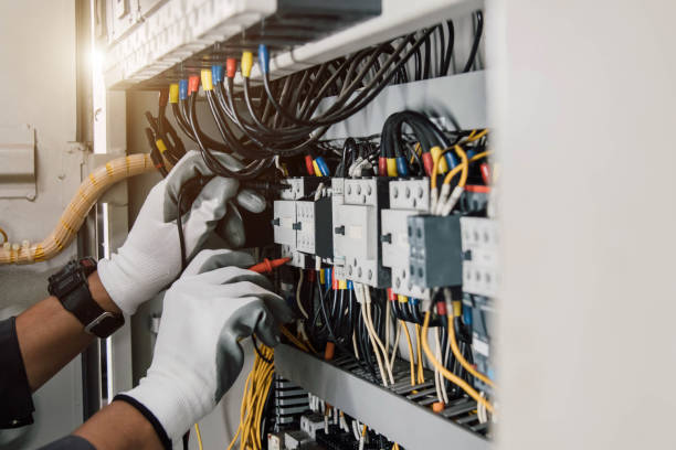 Best Electrical System Inspection  in La Joya, TX